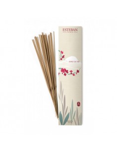Esprit de Thé scented sticks | ESTEBAN - 1