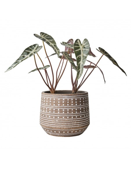 Camille Planter Cover | AFFARI - 2