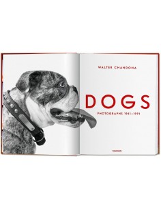 Walter Chandoha. Dogs. Photographs 1941–1991-1 2