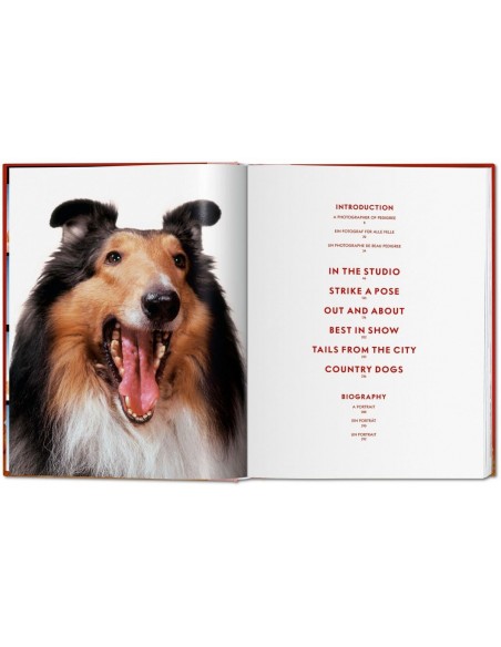 Walter Chandoha. Dogs. Photographs 1941–1991 - 6