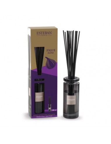 Bytový parfém Figue Noire, sada 100ml | ESTEBAN-1