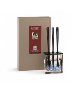 Bytový parfém Teck and Tonka, sada 250ml | ESTEBAN-1