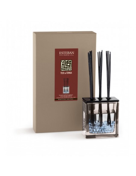 Bytový parfém Teck and Tonka, sada 250ml | ESTEBAN-1