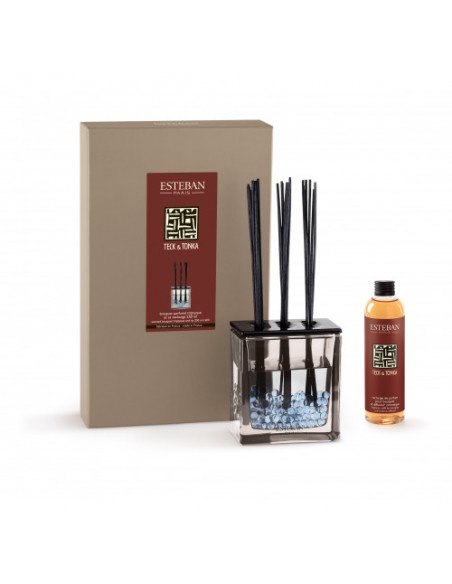Bytový parfém Teck and Tonka, sada 250ml | ESTEBAN-2