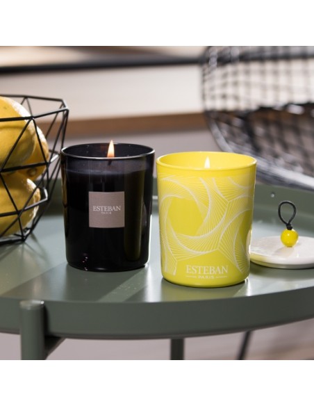 Home fragrance Terre d'Agrumes, scented candle | ESTEBAN - 2