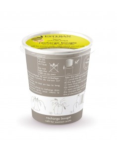 Terre d'Agrumes home fragrance, replacement candle refill | ESTEBAN - 1