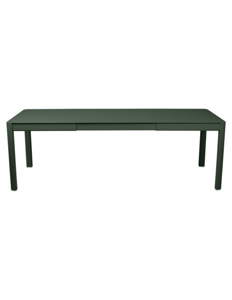 ribambelle-table-2-allonges-cedre.jpg