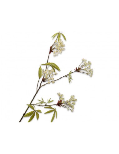 Kvetoucí větev javoru, krémová, 88cm | SILK-KA-3