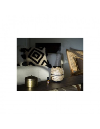 Elektrický difuzér Bambou | ESTEBAN-5