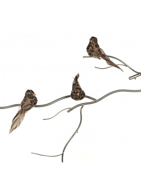 Ptáček na klipu s leopardím vzorem | GOODWILL-1