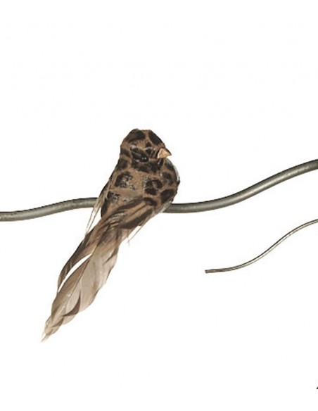 Ptáček na klipu s leopardím vzorem | GOODWILL-2