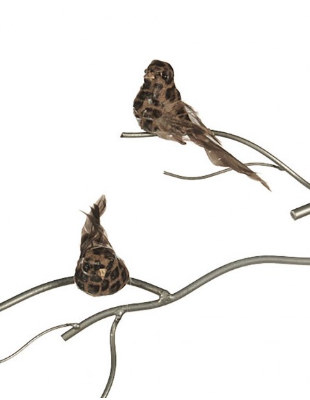 Ptáček na klipu s leopardím vzorem | GOODWILL-3