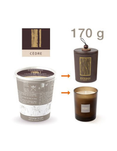 Residential perfume Cedar, spare candle refill | ESTEBAN - 1 2