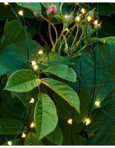 Světelná kaskáda KNIRKE zelená - 200LED indoor/outdoor | SIRIUS-1