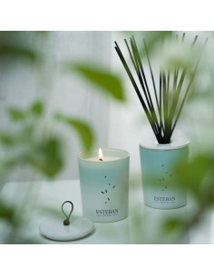 Home fragrance Pur Lin - decorative set 100ml | ESTEBAN - 2 2