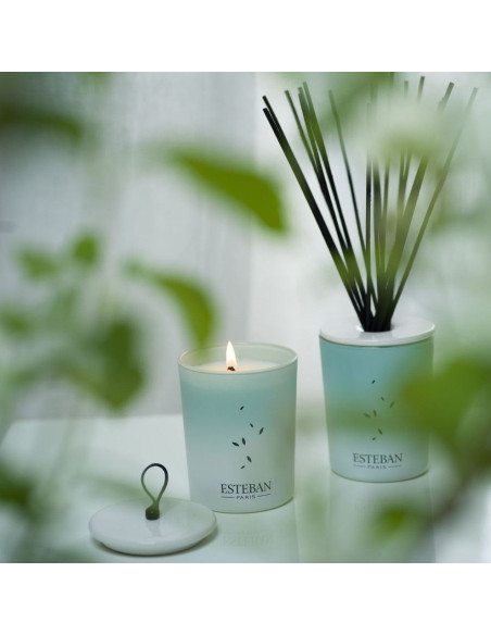 Home fragrance Pur Lin - decorative set 100ml | ESTEBAN - 1
