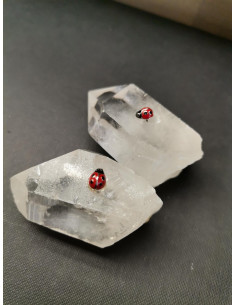 Ladybug earrings | PIOU PIOU - 1