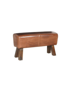 Bench with leather upholstery | import India - 1