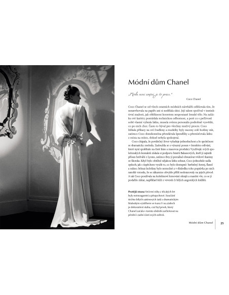 Chanel for handbag - 4