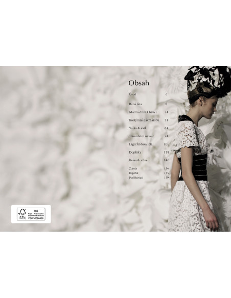 Chanel for handbag - 1