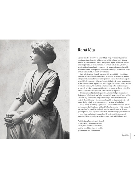 Chanel for handbag - 2