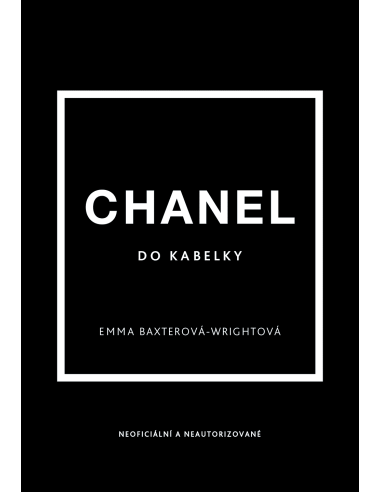 Chanel for handbag - 5