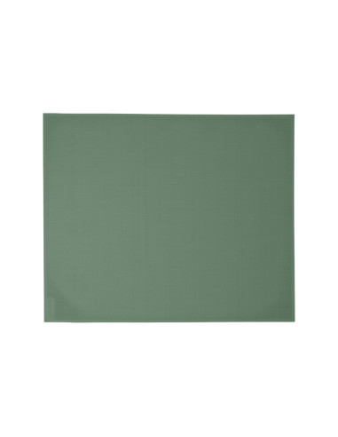 Prostírání Basic 45x35 | FERMOB-1 cactus