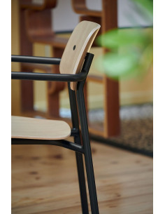 Kovová židle Studie se dřevem a s područkou, indoor | FERMOB-19 pesto 2
