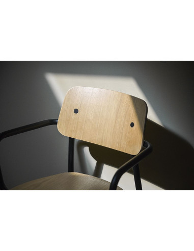 Kovová židle Studie se dřevem a s područkou, indoor | FERMOB-29