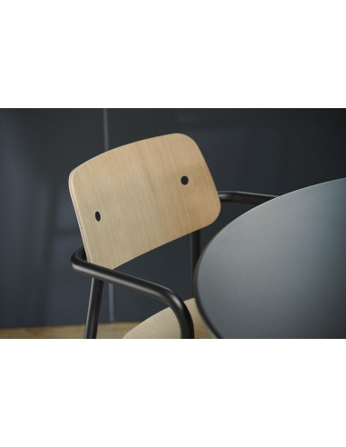 Kovová židle Studie se dřevem a s područkou, indoor | FERMOB-30