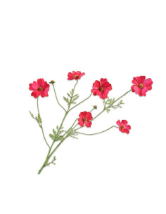 Červené květy krásenky zpeřené d. 77cm | SILK - KA-1
