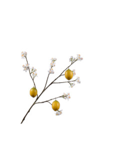 Větev citroníku s květy a plody d. 96cm | SILK - KA-1