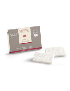 Náhradní náplň pro difuzér do auta Esprit de Thé| ESTEBAN - 1