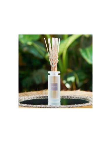 Bytový parfém Citronnelle&Menthe - sada  | ESTEBAN