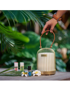 Bytový parfém Monoï et Moringa - vonný olej | ESTEBAN - 1 2