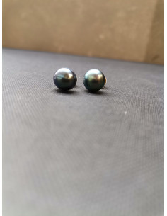 Pecky s perlou| PIOU PIOU