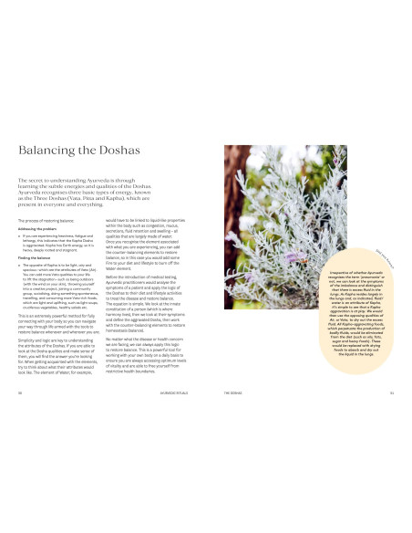 Ayurvedic Rituals: Wisdom, Recipes and the Ancient Art of Self-Care