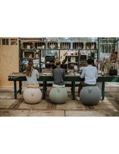 Sedací / jóga míč SOVA Pesto 60-65cm | VLUV 2