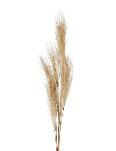 Umělá květina - stonky béžové Celosie v. 91cm |...