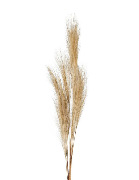 Umělá květina - stonky béžové Celosie v. 91cm | CÔTÉ TABLE