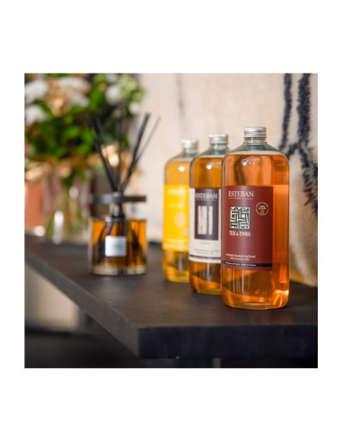 Bytový parfém Teck et Tonka, náplň pro difuzér 1l | ESTEBAN c