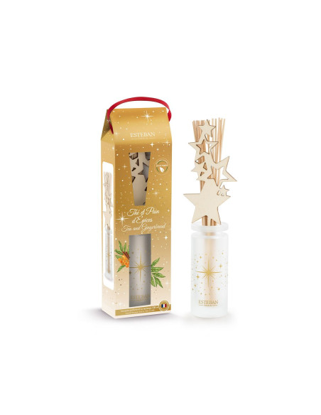 Vánoční bytový parfém The et Pain D´Epices - sada 100ml | Esteban b