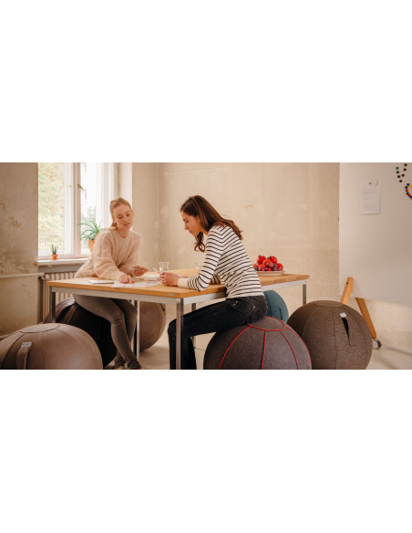 Sedací / jóga míč s potahem umělé kůže VEEL Elephant 60-65cm | VLUV - 4