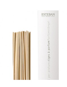 Spare sticks natural 22cm | ESTEBAN - 1 2