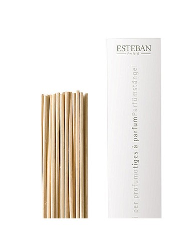 Spare sticks natural 22cm | ESTEBAN - 2