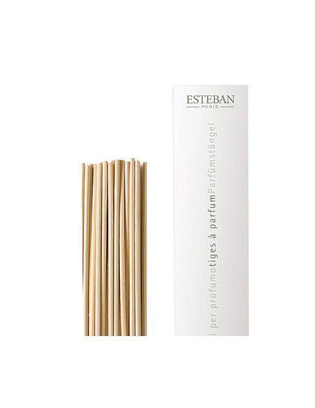 Spare sticks natural 22cm | ESTEBAN - 2