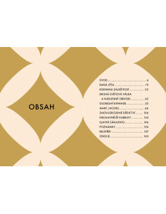 Louis Vuitton do kabelky 2