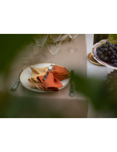 Linen napkin Tiziano 42x42cm, dark grey| TESSITURA TOSCANA TELERIE - 1 2