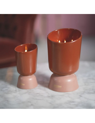 ICONIC COLOR bytový parfém Teck&Tonka, vonná...