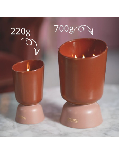 ICONIC COLOR - bytový parfém Teck&Tonka, vonná svíčka 220g | ESTEBAN